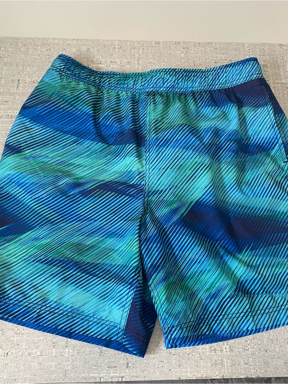 Speedo Men's Blue & Teal Swim Shorts